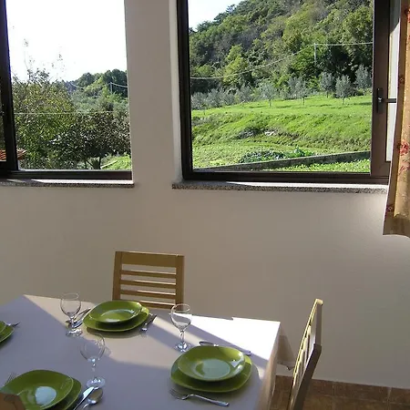 Rajkovic Διαμέρισμα